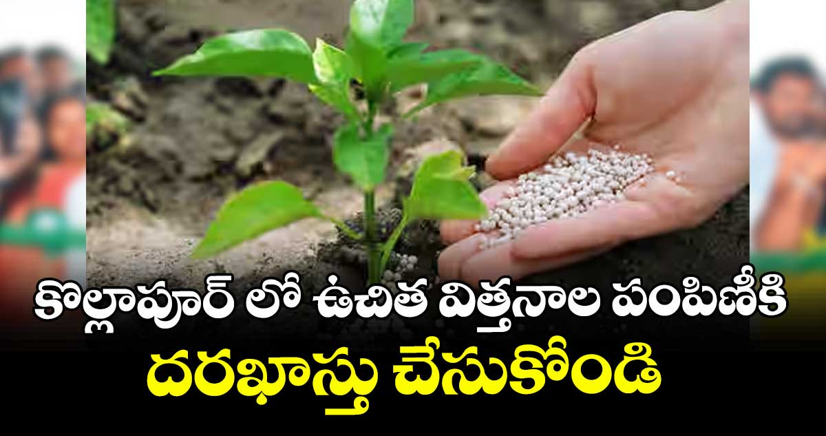కొల్లాపూర్ లో ఉచిత విత్తనాల పంపిణీకి దరఖాస్తు చేసుకోండి : శ్రీనివాసులు 