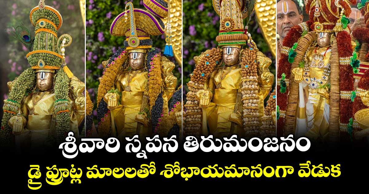 తిరుమల: శ్రీవారి స్నపన తిరుమంజనం.. డ్రై ఫ్రూట్ల మాలలతో శోభాయమానంగా వేడుక