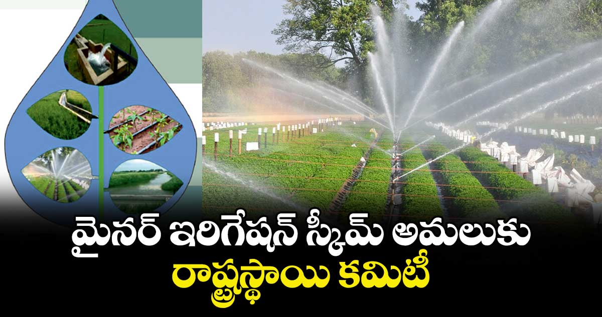 మైనర్ ఇరిగేషన్ స్కీమ్ అమలుకు రాష్ట్రస్థాయి కమిటీ