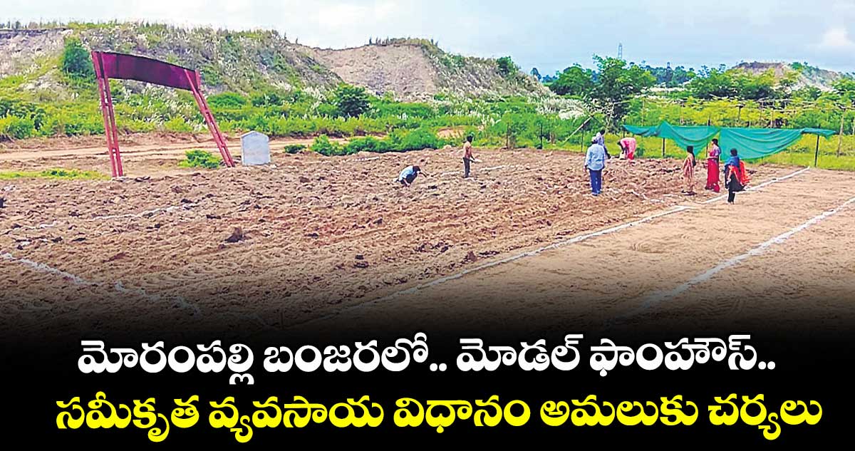 మోరంపల్లి బంజరలో.. మోడల్ ఫాంహౌస్..సమీకృత వ్యవసాయ విధానం అమలుకు చర్యలు