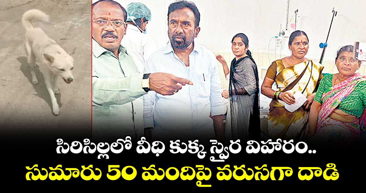 సిరిసిల్లలో వీధి కుక్క స్వైర విహారం..సుమారు 50 మందిపై వరుసగా దాడి 