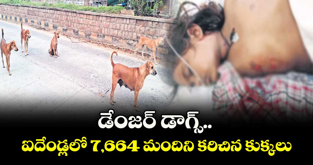 డేంజర్ డాగ్స్..ఐదేండ్లలో 7,664 మందిని కరిచిన కుక్కలు