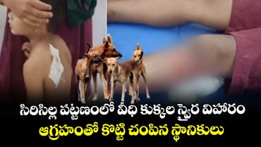 సిరిసిల్ల పట్టణంలో వీధి కుక్కల స్వైర విహారం.. ఆగ్రహంతో కొట్టి చంపిన స్థానికులు