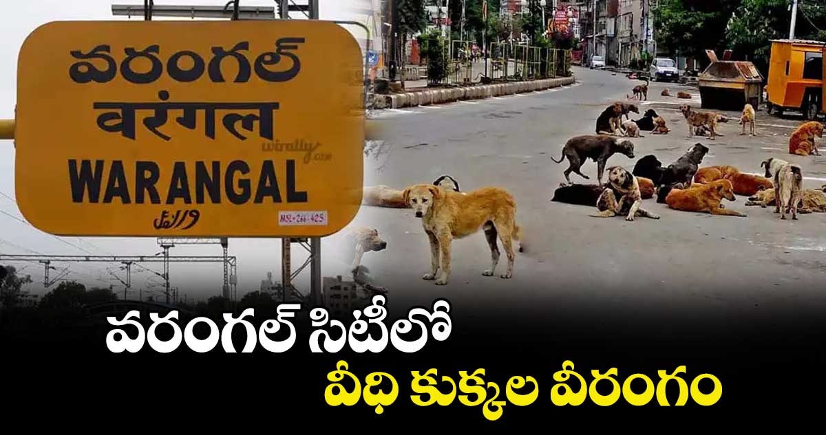 వరంగల్ సిటీలో వీధి కుక్కల వీరంగం