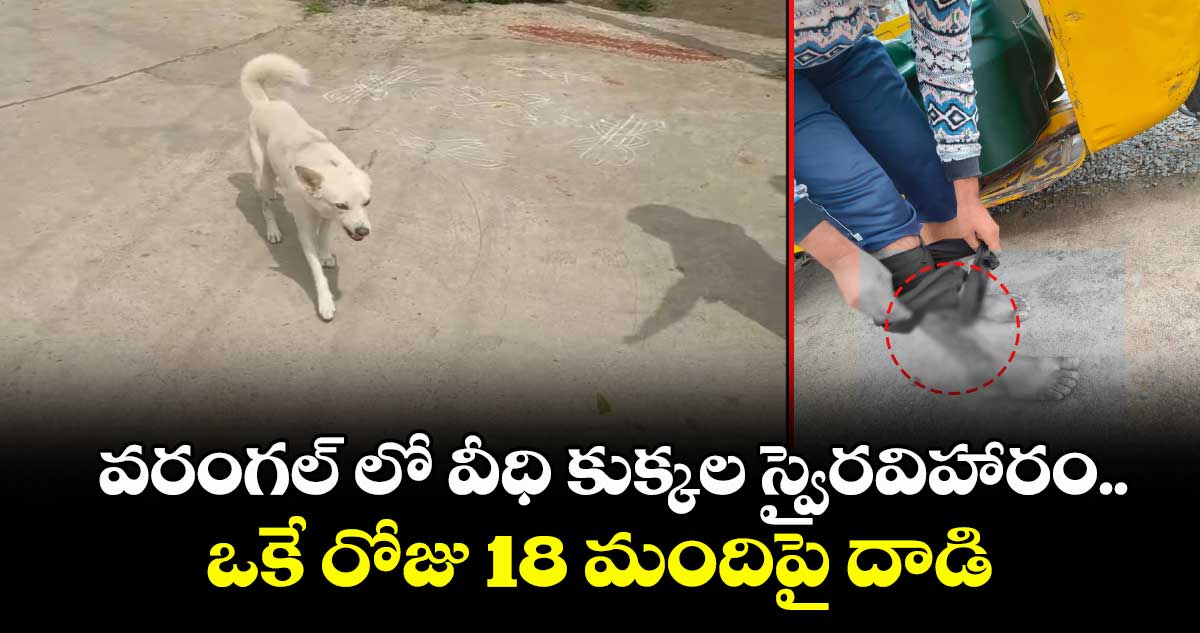 వరంగల్ లో వీధి కుక్కల స్వైరవిహారం..ఒకే రోజు 18 మందిపై దాడి
