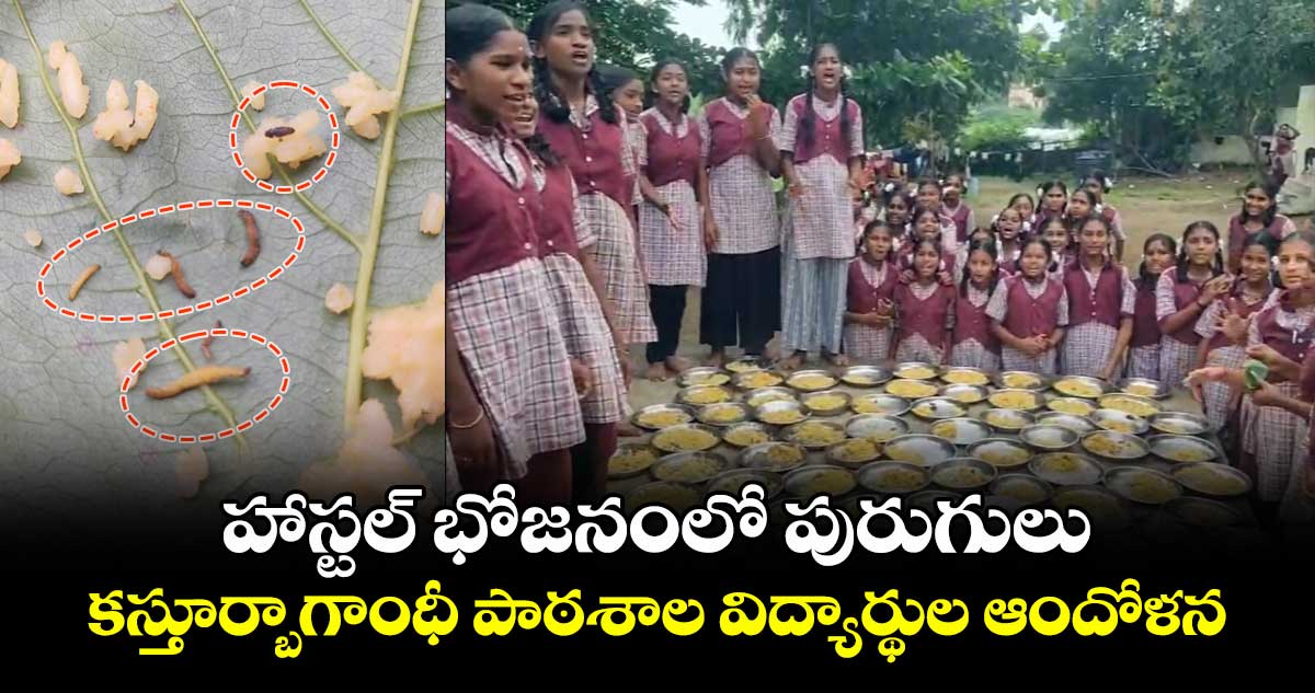 హాస్టల్ భోజనంలో పురుగులు..కస్తూర్బాగాంధీ పాఠశాల విద్యార్థుల ఆందోళన