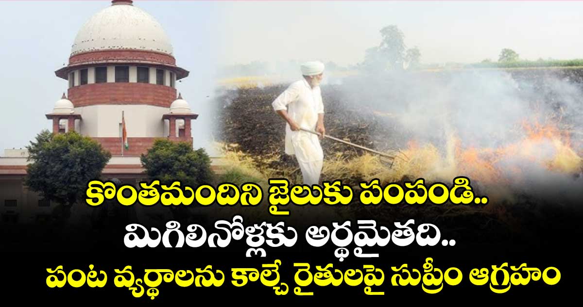 కొంతమందిని జైలుకు పంపండి.. మిగిలినోళ్లకు అర్థమైతది.. పంట వ్యర్థాలను కాల్చే రైతులపై సుప్రీం ఆగ్రహం