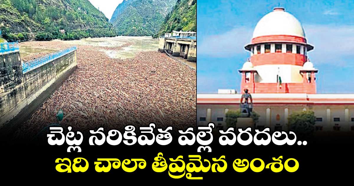 చెట్ల నరికివేత వల్లే వరదలు ఇది చాలా తీవ్రమైన అంశం: సుప్రీంకోర్టు