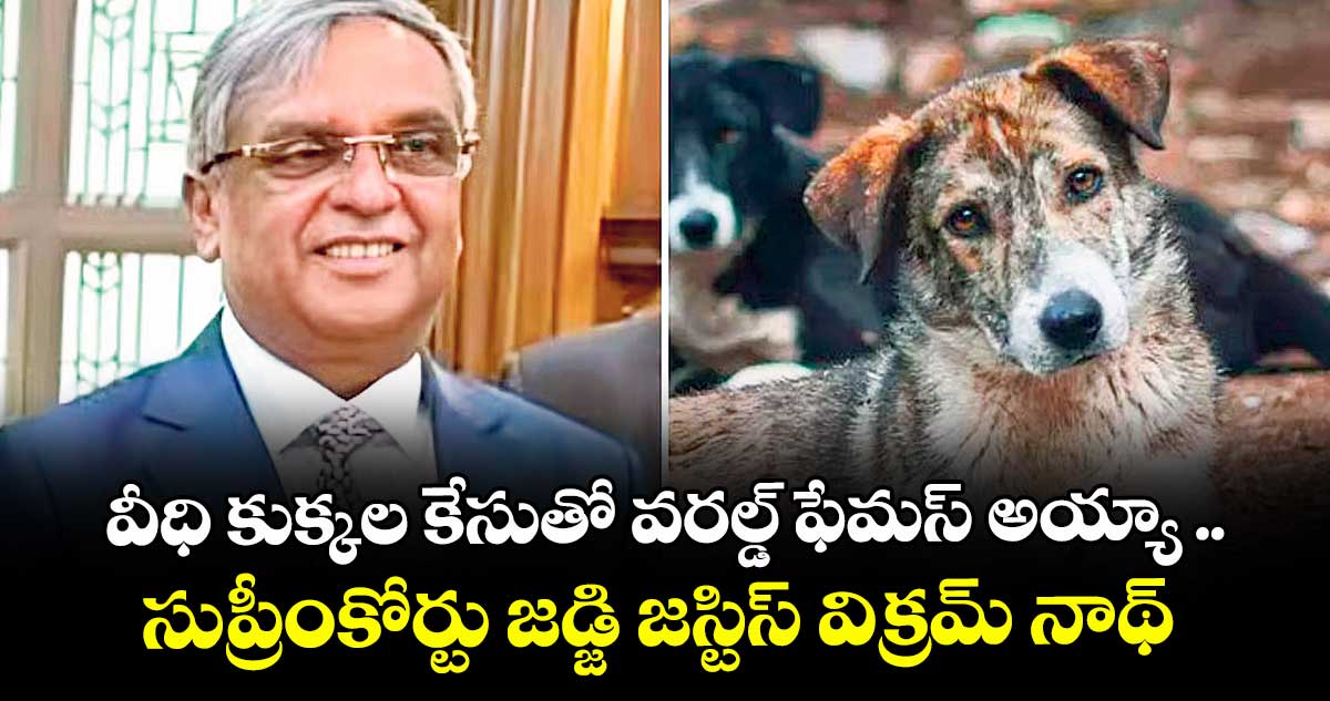 వీధి కుక్కల కేసుతో వరల్డ్ ఫేమస్ అయ్యా ..సుప్రీంకోర్టు జడ్జి జస్టిస్ విక్రమ్ నాథ్