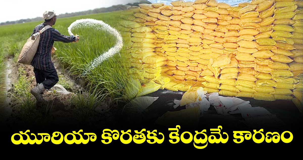  యూరియా కొరతకు కేంద్రమే కారణం