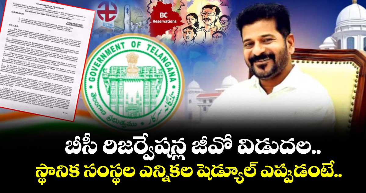 బీసీ రిజర్వేషన్ల జీవో విడుదల.. స్థానిక సంస్థల ఎన్నికల షెడ్యూల్ ఎప్పుడంటే..