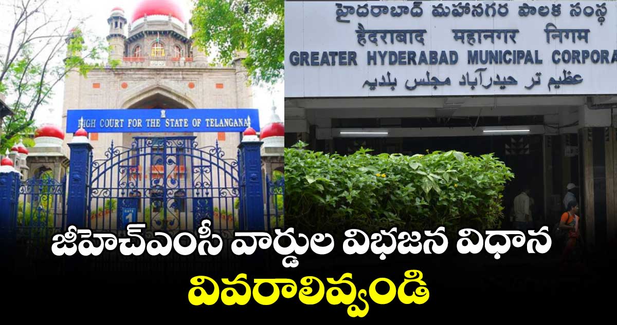జీహెచ్ఎంసీ వార్డుల విభజన విధాన వివరాలివ్వండి