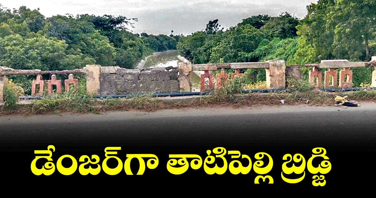 డేంజర్‌‌‌‌‌‌‌‌‌‌‌‌‌‌‌‌‌‌‌‌‌‌‌‌‌‌‌‌‌‌‌‌గా తాటిపెల్లి బ్రిడ్జి  