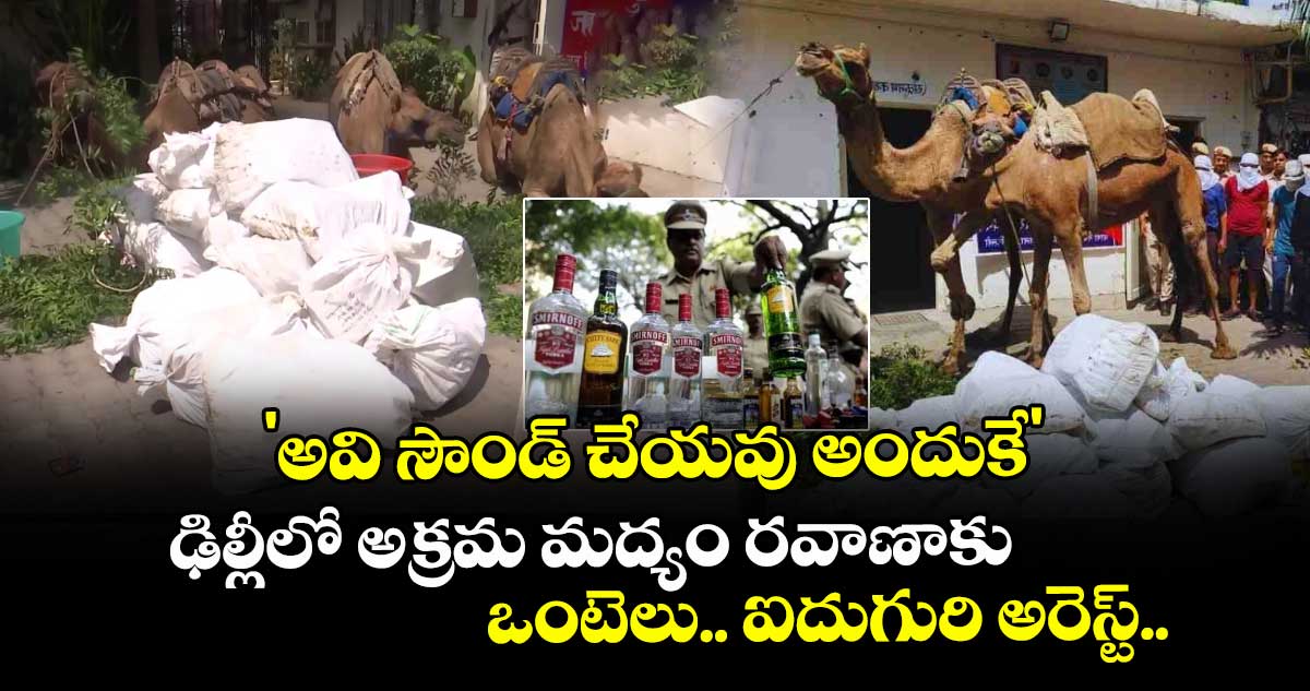 'అవి సౌండ్ చేయవు అందుకే' : ఢిల్లీలో అక్రమ మద్యం రవాణాకు ఒంటెలు.. ఐదుగురి అరెస్ట్.. 
