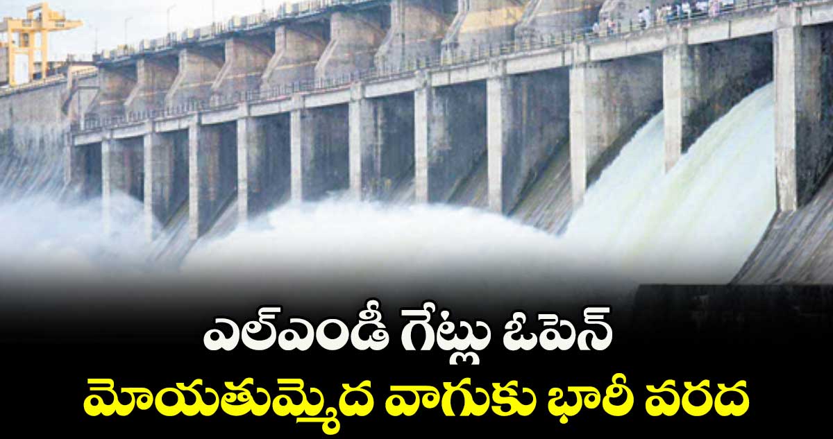 ఎల్ఎండీ గేట్లు ఓపెన్.. మోయతుమ్మెద వాగుకు భారీ వరద
