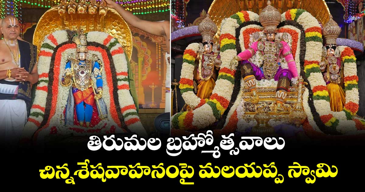 తిరుమల బ్రహ్మోత్సవాలు: చిన్నశేషవాహనంపై  మలయప్ప స్వామి..