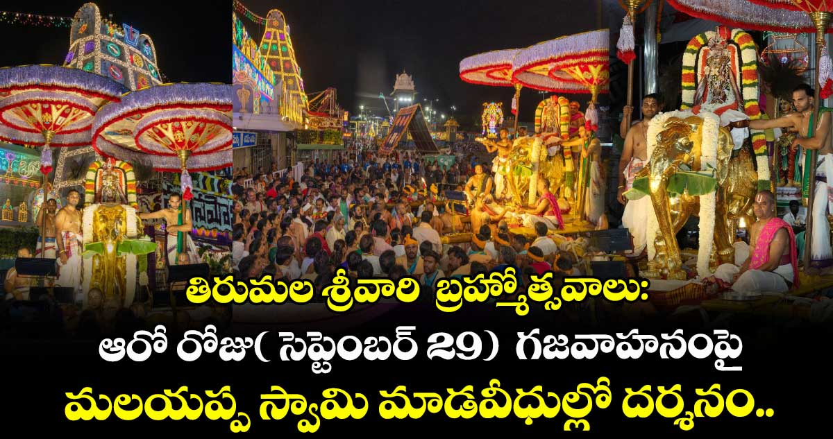తిరుమల శ్రీవారి  బ్రహ్మోత్సవాలు: ఆరో రోజు( సెప్టెంబర్ 29)  గజవాహనంపై మలయప్ప స్వామి మాడవీధుల్లో దర్శనం..