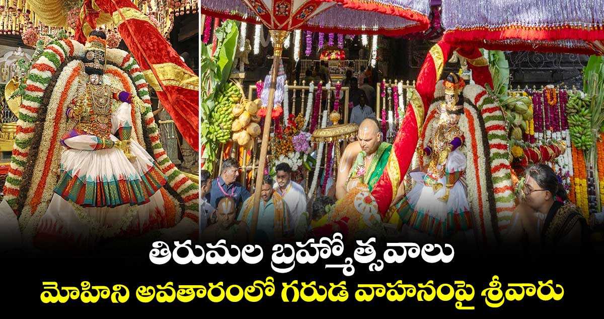 తిరుమల బ్రహ్మోత్సవాలు.. మోహిని అవతారంలో గరుడ వాహనంపై   శ్రీవారు