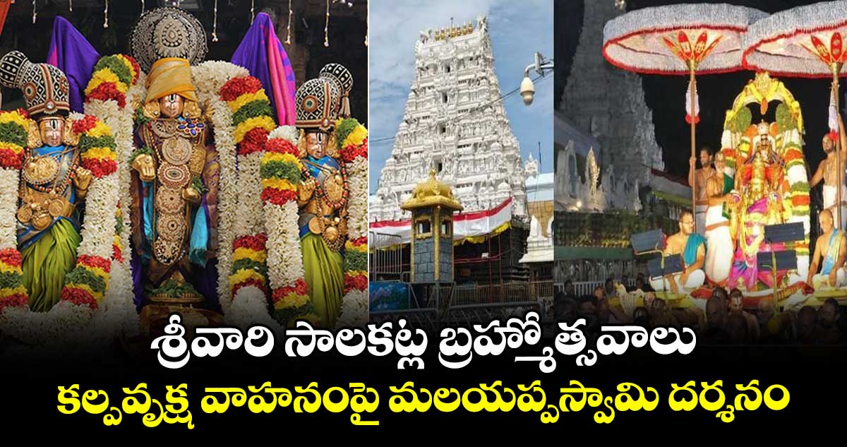 శ్రీవారి సాలకట్ల  బ్రహ్మోత్సవాలు..  క‌ల్పవృక్ష వాహనంపై  మలయప్పస్వామి దర్శనం