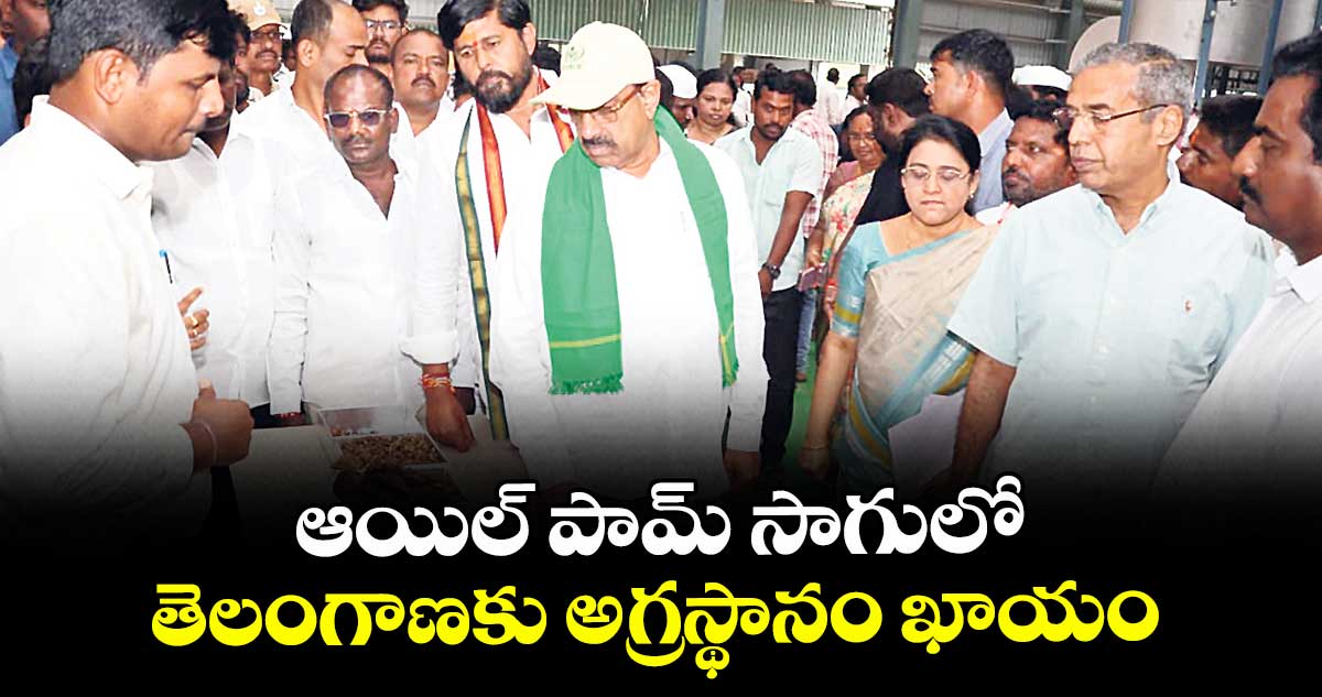 ఆయిల్ పామ్ సాగులో..  తెలంగాణకు అగ్రస్థానం ఖాయం: తుమ్మల నాగేశ్వర్ రావు 
