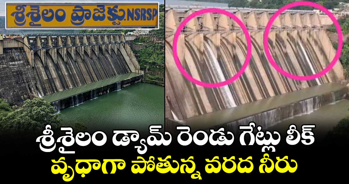 శ్రీశైలం డ్యామ్ రెండు గేట్లు లీక్.. వృధాగా పోతున్న వరద నీరు