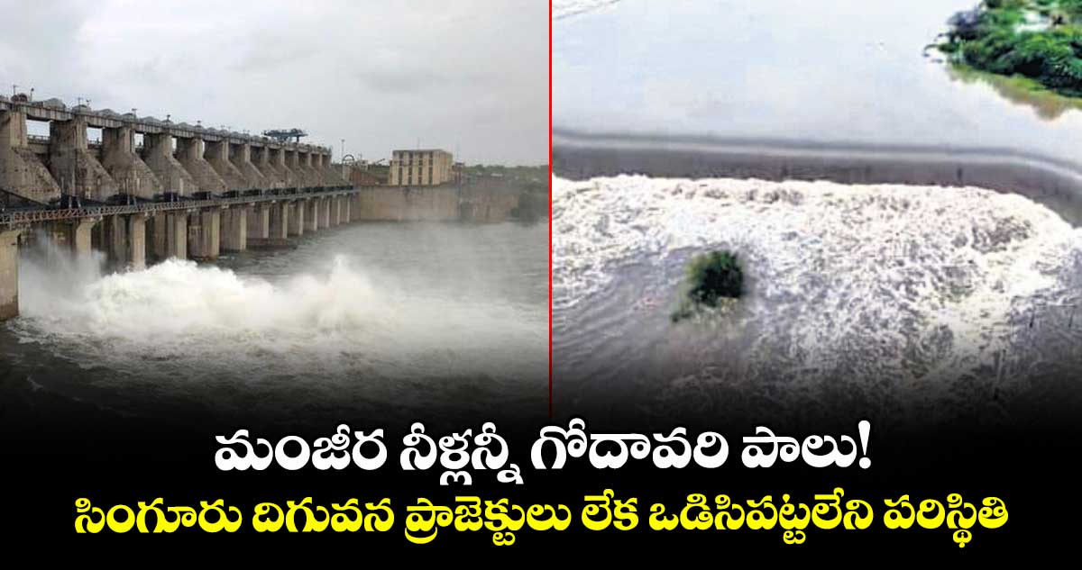 మంజీర నీళ్లన్నీ గోదావరి పాలు!.. సింగూరు దిగువన ప్రాజెక్టులు లేక ఒడిసిపట్టలేని పరిస్థితి