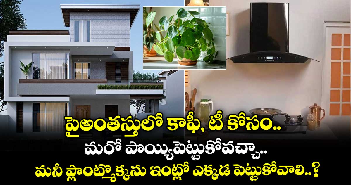 Vastu Tips : పైఅంతస్తులో కాఫీ, టీ కోసం మరో పొయ్యిపెట్టుకోవచ్చా.. మనీ ప్లాంట్మొక్కను ఇంట్లో ఎక్కడ పెట్టుకోవాలి..?