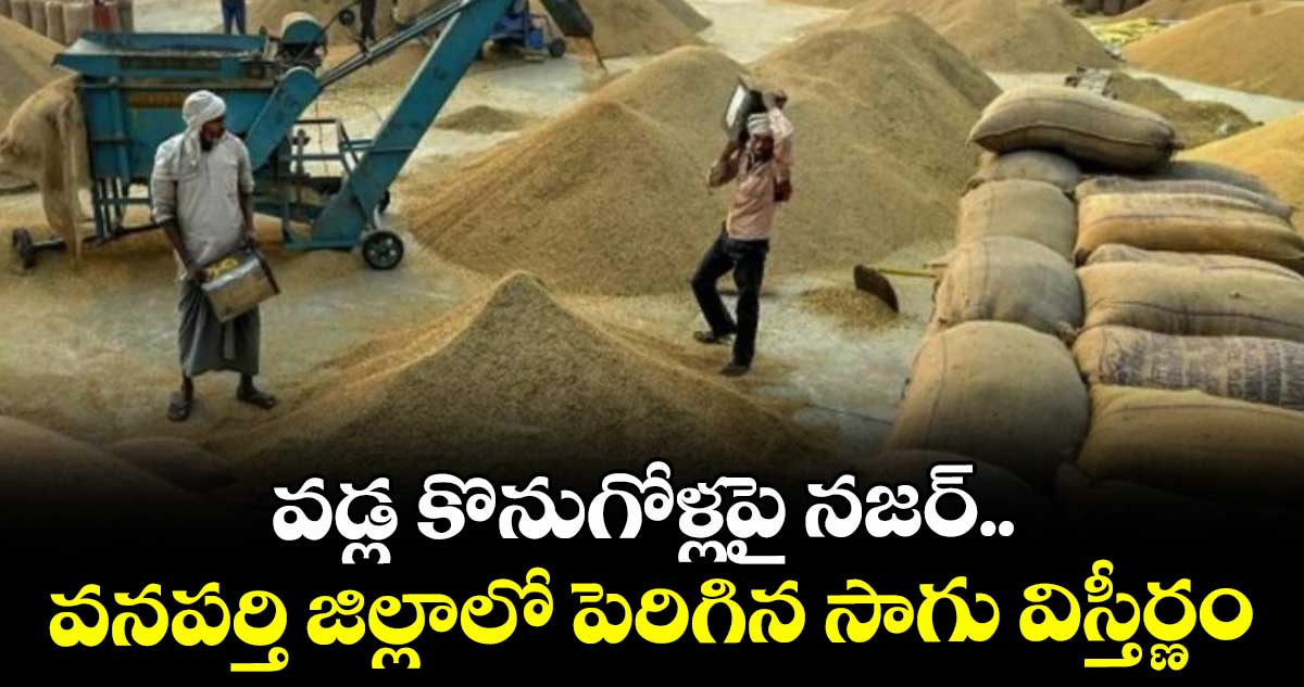 వడ్ల కొనుగోళ్లపై నజర్..  వనపర్తి జిల్లాలో పెరిగిన సాగు విస్తీర్ణం