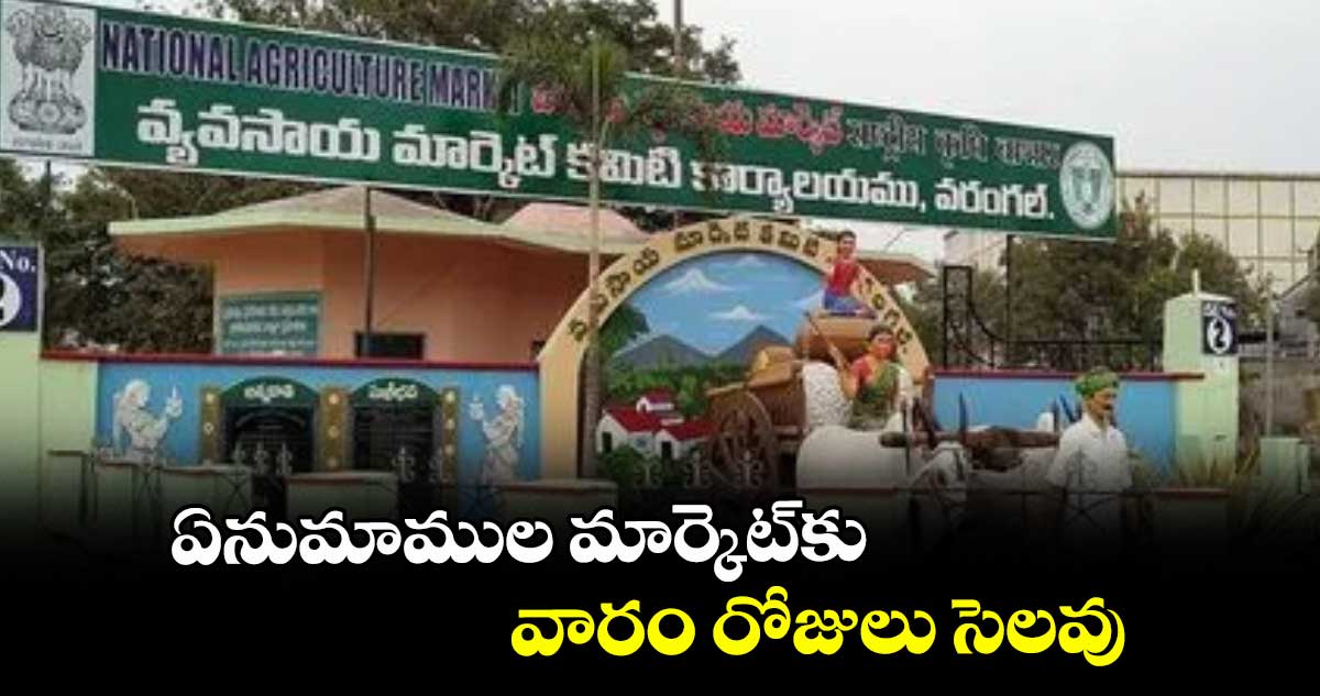 ఏనుమాముల మార్కెట్‌‌కు వారం రోజులు సెలవు