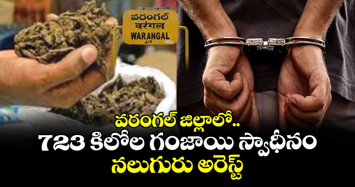వరంగల్ జిల్లాలో 723 కిలోల గంజాయి స్వాధీనం.. నలుగురు అరెస్ట్..