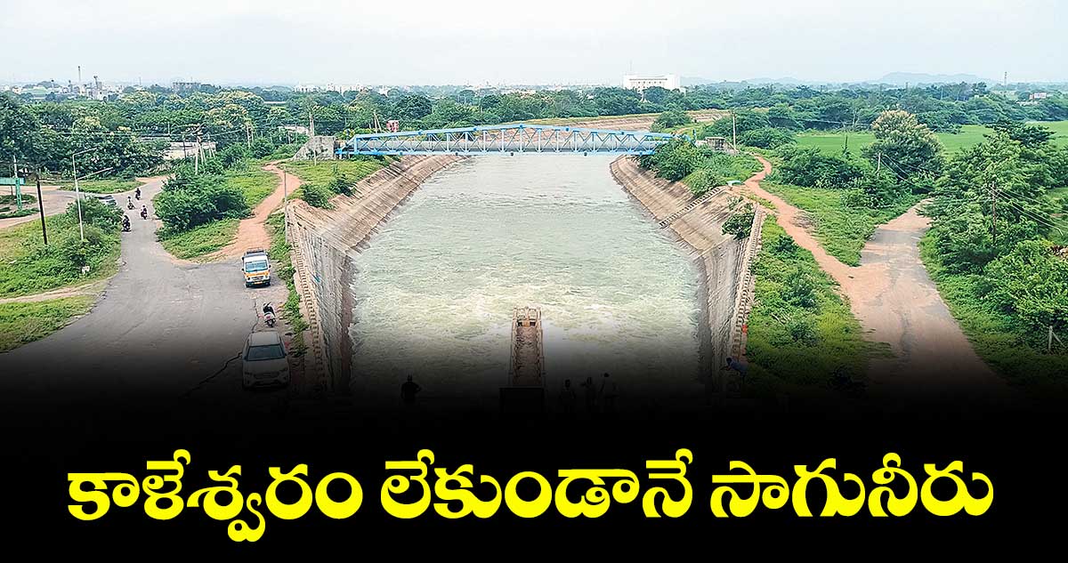 కాళేశ్వరం లేకుండానే సాగునీరు : డా. కవ్వంపల్లి సత్యానారాయణ