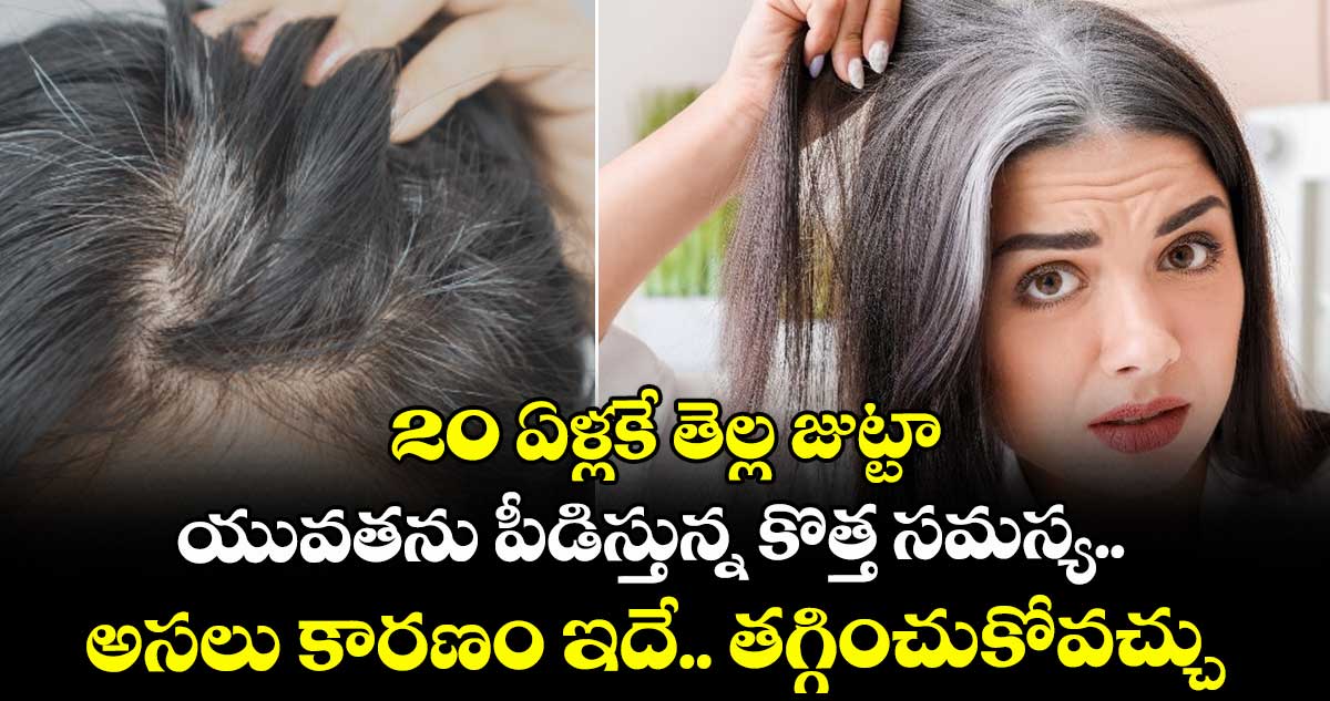 20 ఏళ్లకే తెల్ల జుట్టా.. యువతను పీడిస్తున్న కొత్త సమస్య.. అసలు కారణం ఇదే.. తగ్గించుకోవచ్చు..