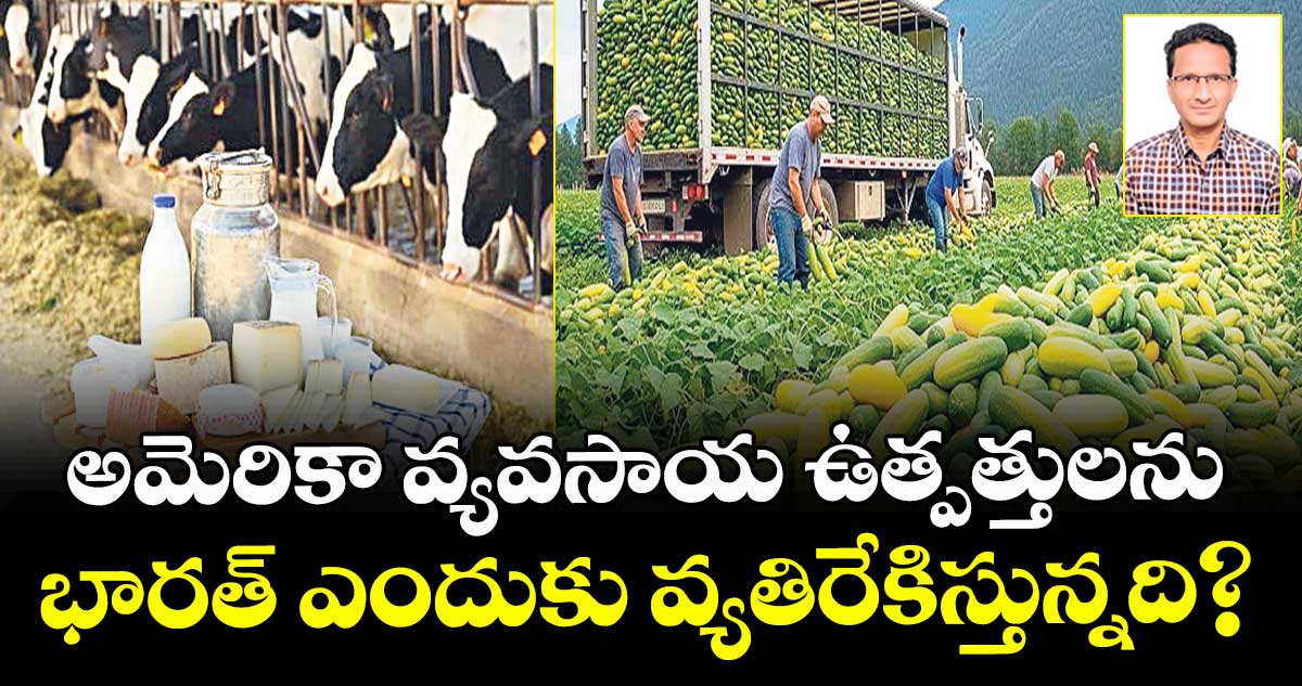 అమెరికా వ్యవసాయ ఉత్పత్తులను భారత్ ఎందుకు వ్యతిరేకిస్తున్నది?