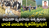 అమెరికా వ్యవసాయ ఉత్పత్తులను భారత్ ఎందుకు వ్యతిరేకిస్తున్నది?
