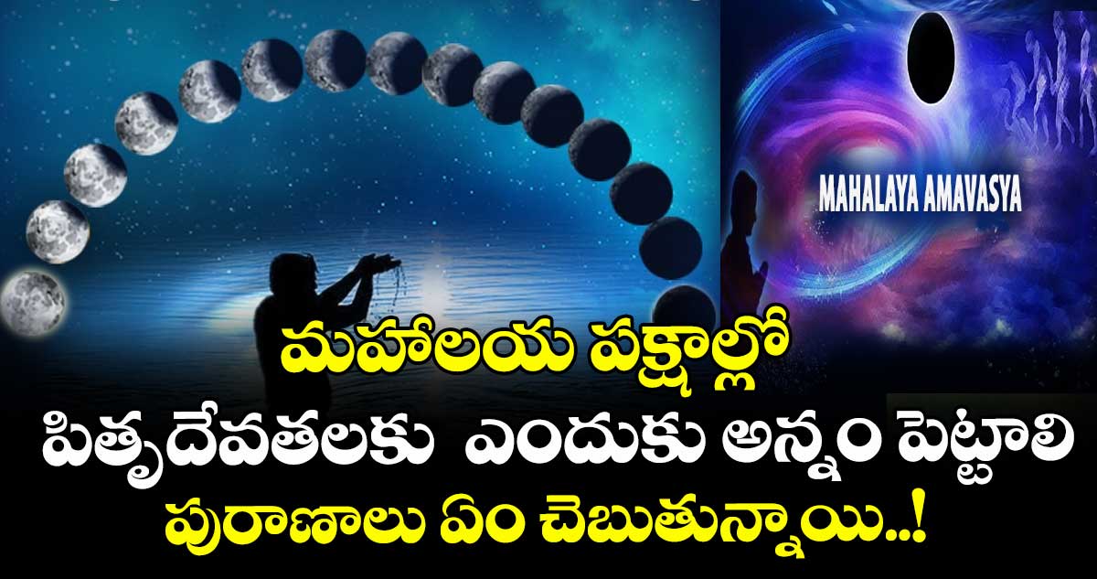 మహాలయ పక్షాల్లో  పితృదేవతలకు  ఎందుకు అన్నం పెట్టాలి.. పురాణాలు ఏం చెబుతున్నాయి..! 