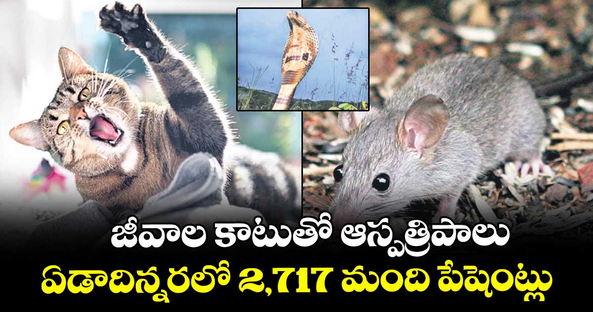 జీవాల కాటుతో ఆస్పత్రిపాలు.. ఏడాదిన్నరలో 2,717 మంది పేషెంట్లు