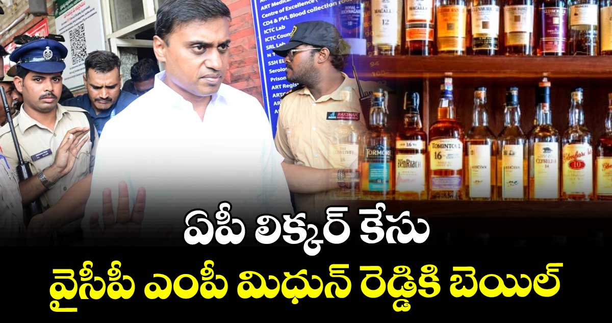 ఏపీ లిక్కర్ కేసు : వైసీపీ ఎంపీ మిధున్ రెడ్డికి బెయిల్