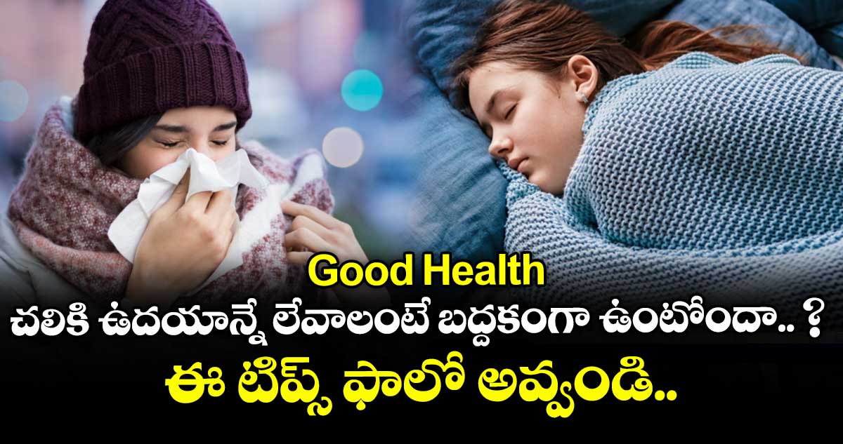 Good Health: చలికి ఉదయాన్నే లేవాలంటే బద్దకంగా ఉంటోందా.. ? ఈ టిప్స్ ఫాలో అవ్వండి..