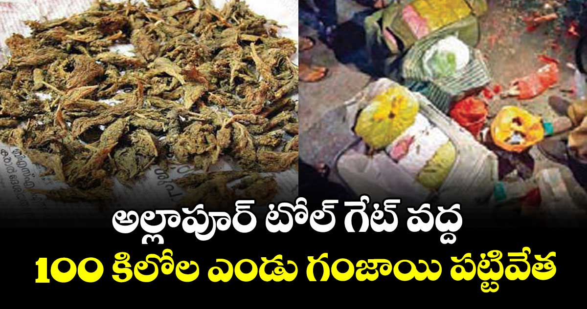 అల్లాపూర్ టోల్ గేట్ వద్ద 100 కిలోల ఎండు గంజాయి పట్టివేత