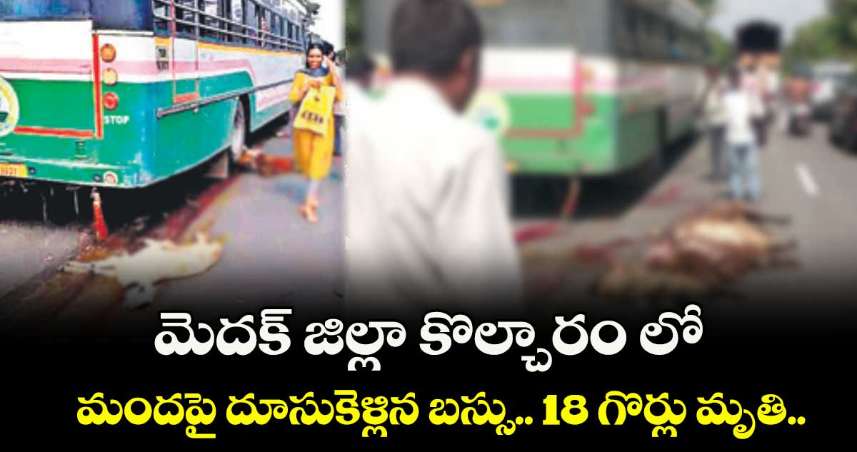 మెదక్ జిల్లా కొల్చారం లో మందపై దూసుకెళ్లిన బస్సు.. 18 గొర్లు మృతి..