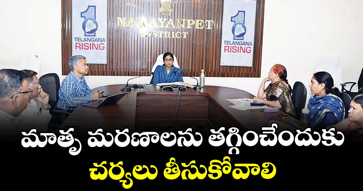 మాతృ మరణాలను తగ్గించేందుకు చర్యలు తీసుకోవాలి : కలెక్టర్  సిక్తా పట్నాయక్