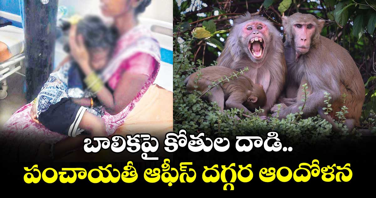 బాలికపై కోతుల దాడి.. పంచాయతీ ఆఫీస్ దగ్గర  ఆందోళన