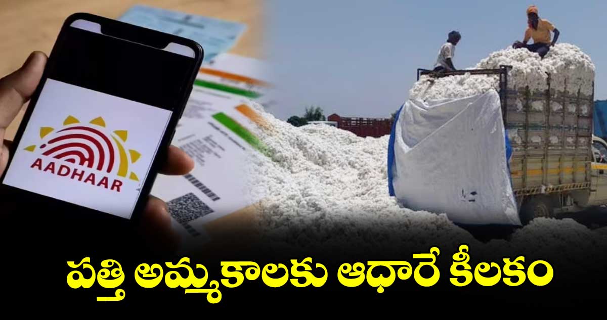 పత్తి అమ్మకాలకు ఆధారే కీలకం