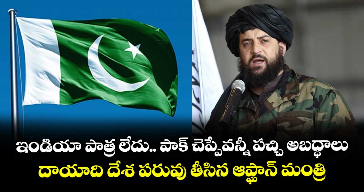 ఇండియా పాత్ర లేదు.. పాక్ చెప్పేవన్నీ పచ్చి అబద్ధాలు: దాయాది దేశ పరువు తీసిన ఆప్ఘాన్ మంత్రి