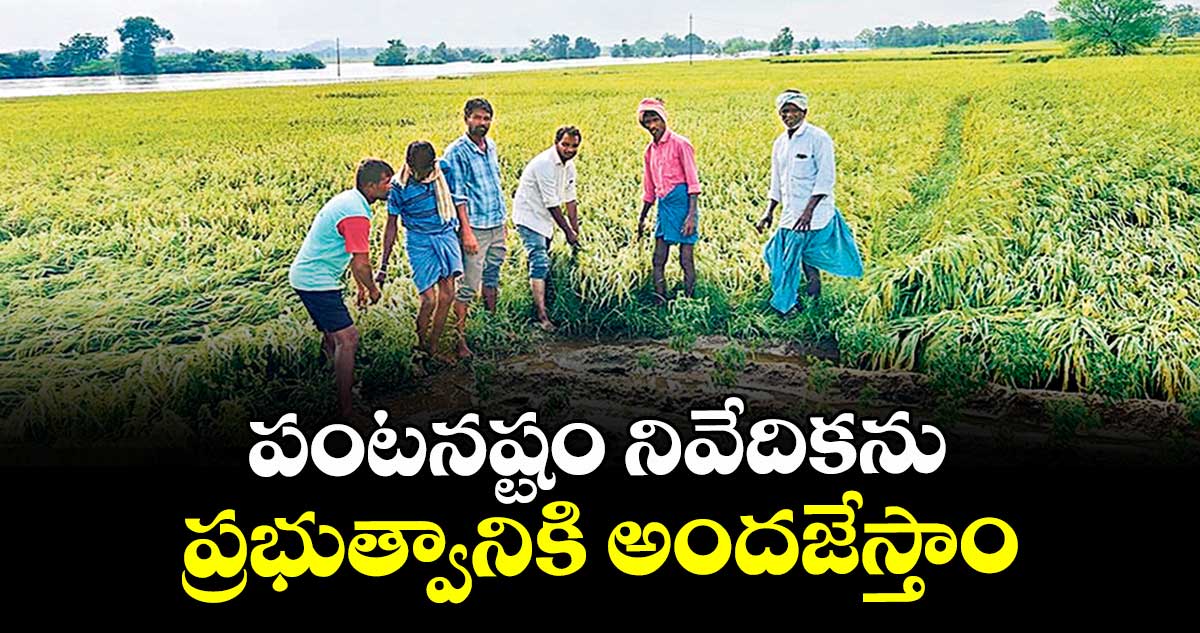 పంటనష్టం నివేదికను ప్రభుత్వానికి అందజేస్తాం :  ఏవో అబ్దుల్ మాలిక్