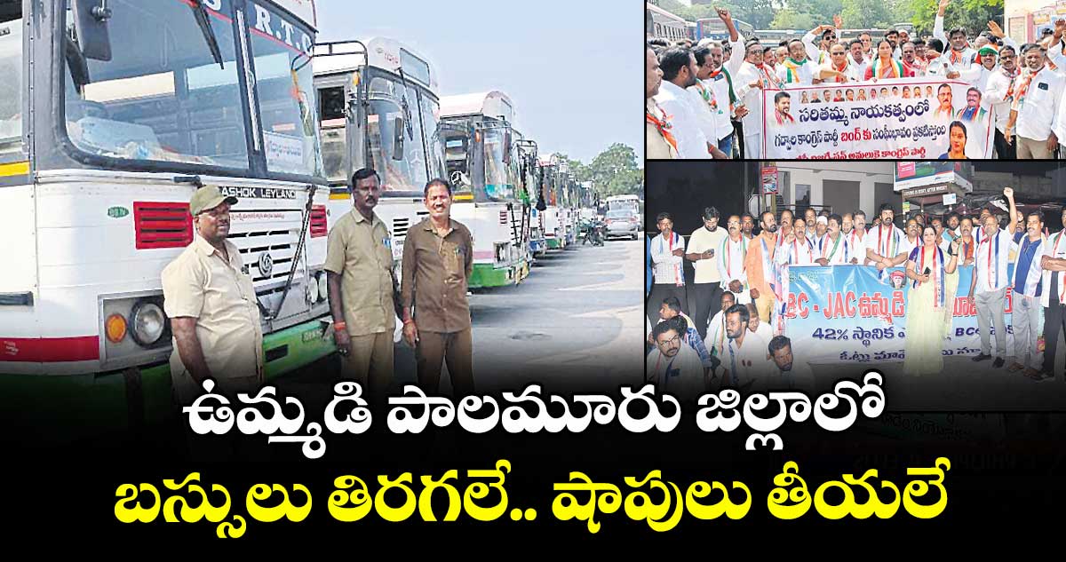 ఉమ్మడి పాలమూరు జిల్లాలో బస్సులు తిరగలే.. షాపులు తీయలే