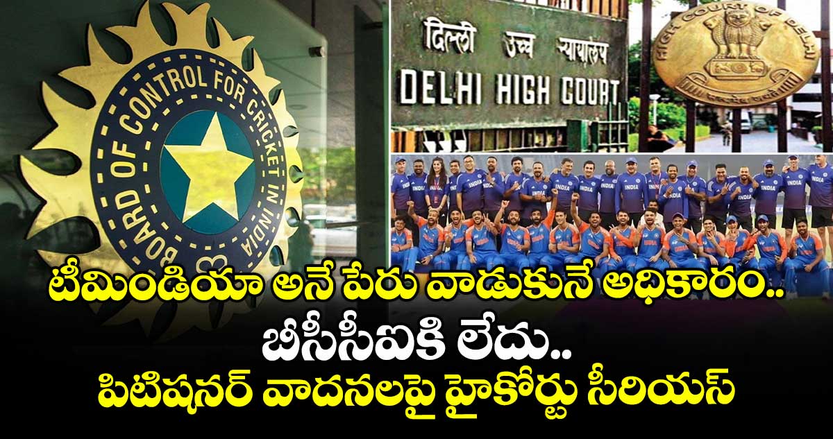 టీమిండియా అనే పేరు వాడుకునే అధికారం బీసీసీఐకి లేదు.. పిటిషనర్ వాదనలపై హైకోర్టు సీరియస్