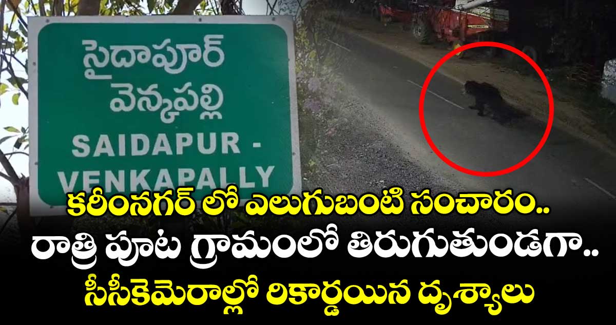 కరీంనగర్ లో ఎలుగుబంటి సంచారం..రాత్రి పూట గ్రామంలో తిరుగుతుండగా..సీసీకెమెరాల్లో రికార్డయిన దృశ్యాలు