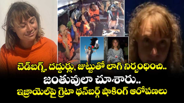 బెడ్‌బగ్స్, దద్దుర్లు, జుట్టుతో లాగి నిర్బంధించి.. జంతువులా చూశారు..:ఇజ్రాయెల్‌పై గ్రెటా థన్‌బర్గ్ షాకింగ్ ఆరోపణలు