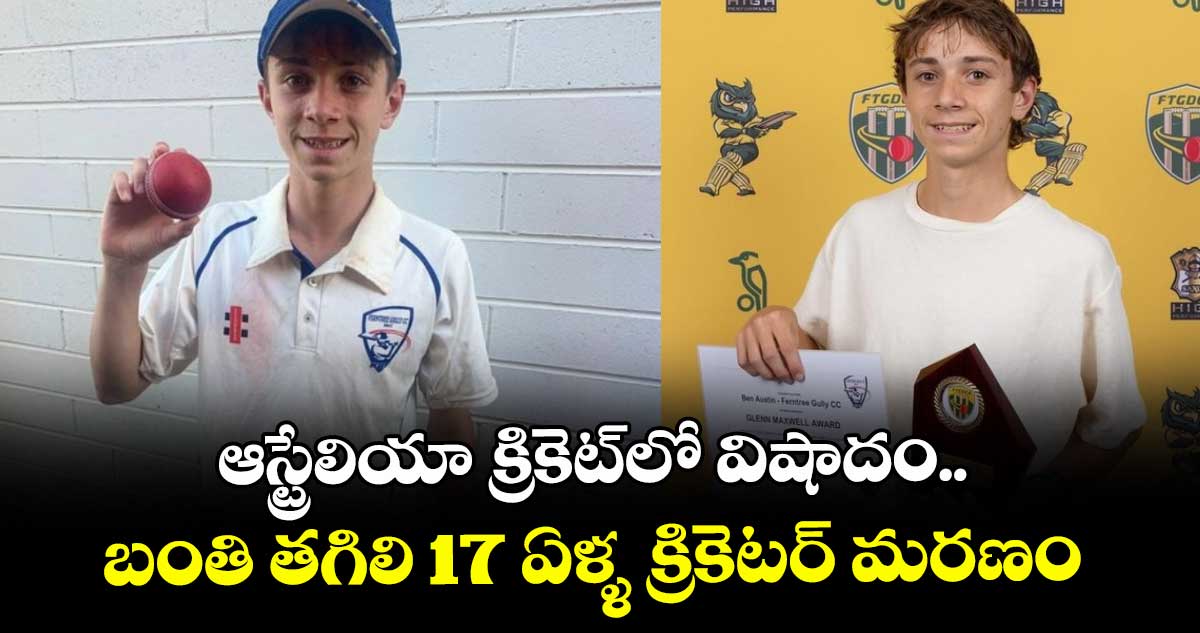 Australia cricket: ఆస్ట్రేలియా క్రికెట్‌లో విషాదం.. బంతి తగిలి 17 ఏళ్ళ క్రికెటర్ మరణం